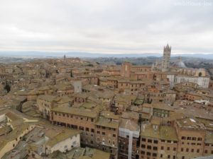 view of siena town from torre del mangia